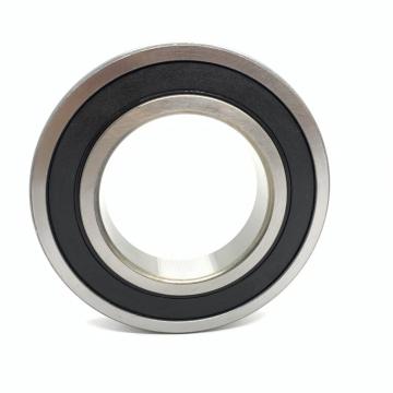 55 mm x 140 mm x 33 mm  FAG NU411-M1  Cylindrical Roller Bearings