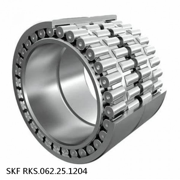 RKS.062.25.1204 SKF Slewing Ring Bearings