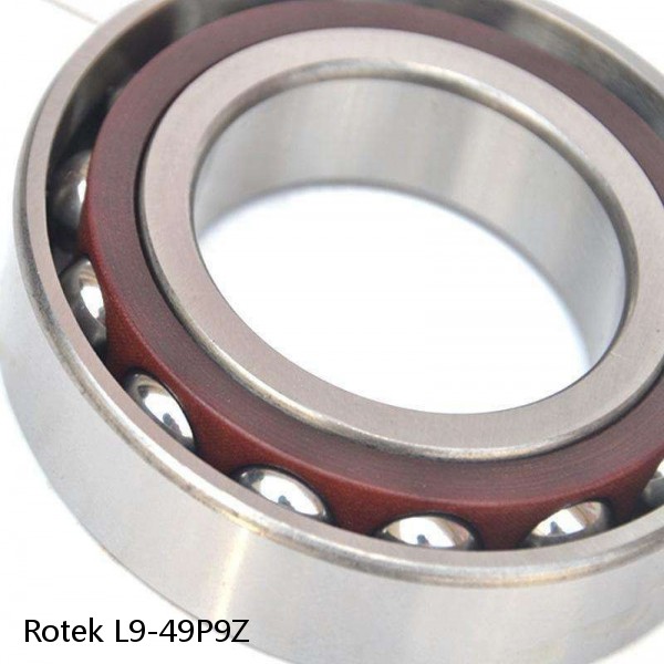 L9-49P9Z Rotek Slewing Ring Bearings