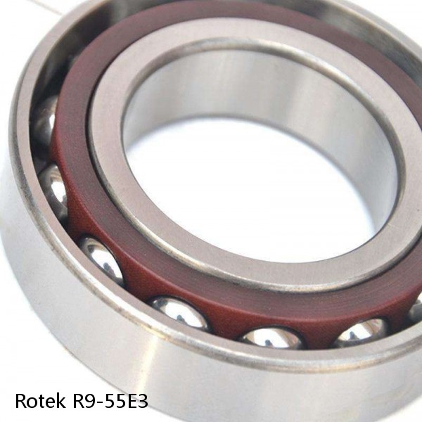 R9-55E3 Rotek Slewing Ring Bearings