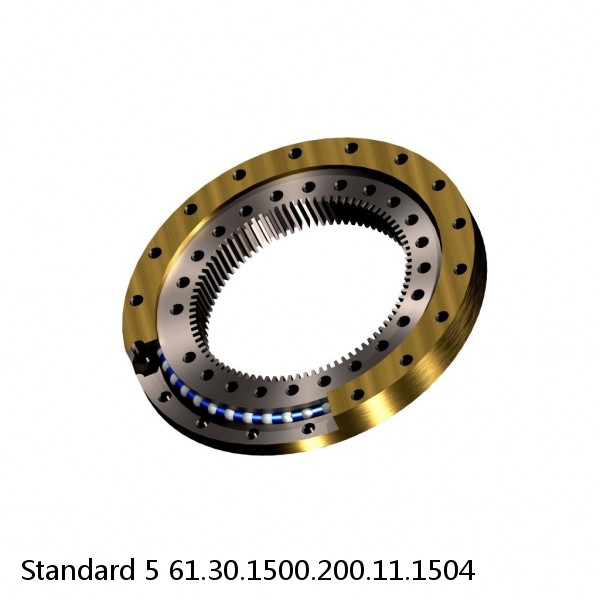 61.30.1500.200.11.1504 Standard 5 Slewing Ring Bearings