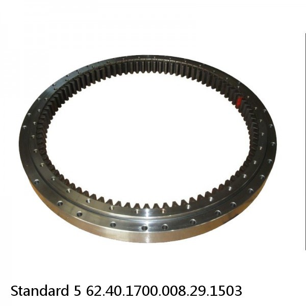 62.40.1700.008.29.1503 Standard 5 Slewing Ring Bearings