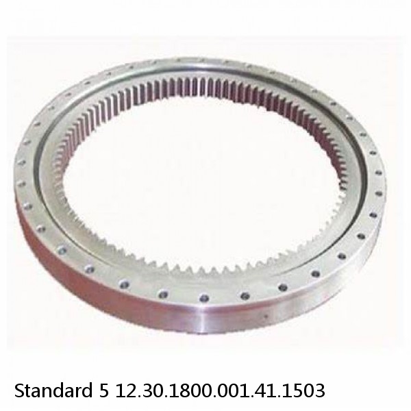 12.30.1800.001.41.1503 Standard 5 Slewing Ring Bearings