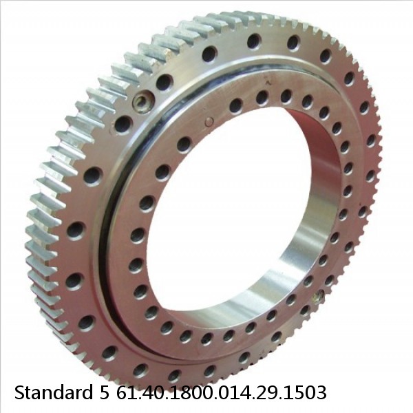 61.40.1800.014.29.1503 Standard 5 Slewing Ring Bearings