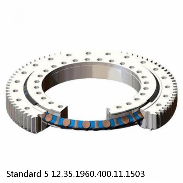 12.35.1960.400.11.1503 Standard 5 Slewing Ring Bearings