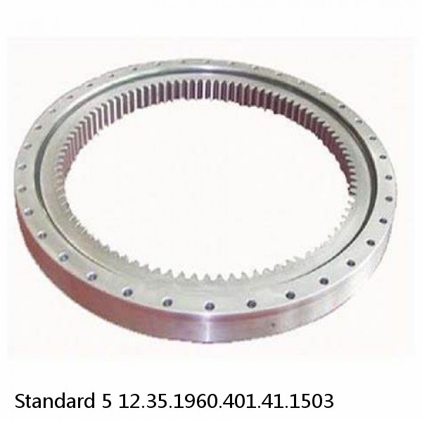 12.35.1960.401.41.1503 Standard 5 Slewing Ring Bearings