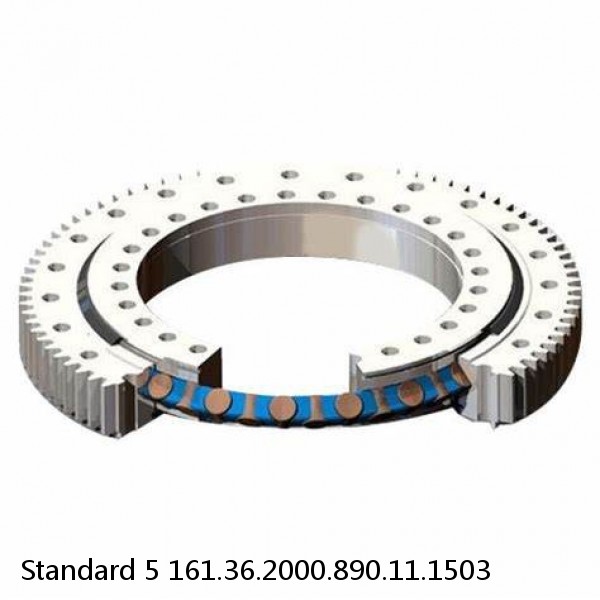 161.36.2000.890.11.1503 Standard 5 Slewing Ring Bearings