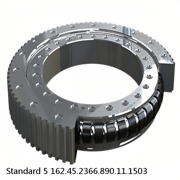 162.45.2366.890.11.1503 Standard 5 Slewing Ring Bearings