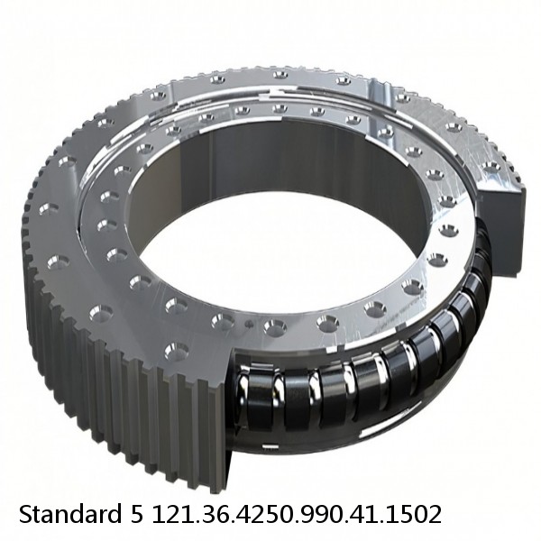 121.36.4250.990.41.1502 Standard 5 Slewing Ring Bearings