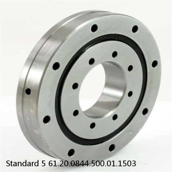 61.20.0844.500.01.1503 Standard 5 Slewing Ring Bearings