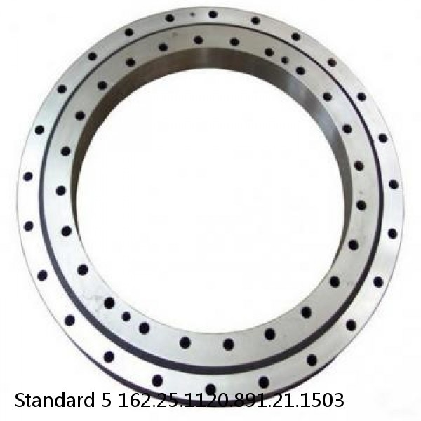 162.25.1120.891.21.1503 Standard 5 Slewing Ring Bearings