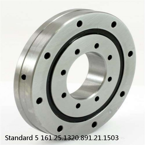 161.25.1320.891.21.1503 Standard 5 Slewing Ring Bearings