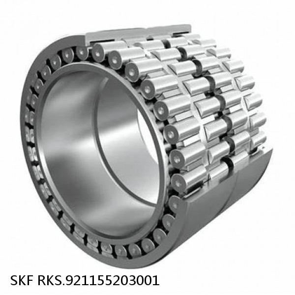 RKS.921155203001 SKF Slewing Ring Bearings