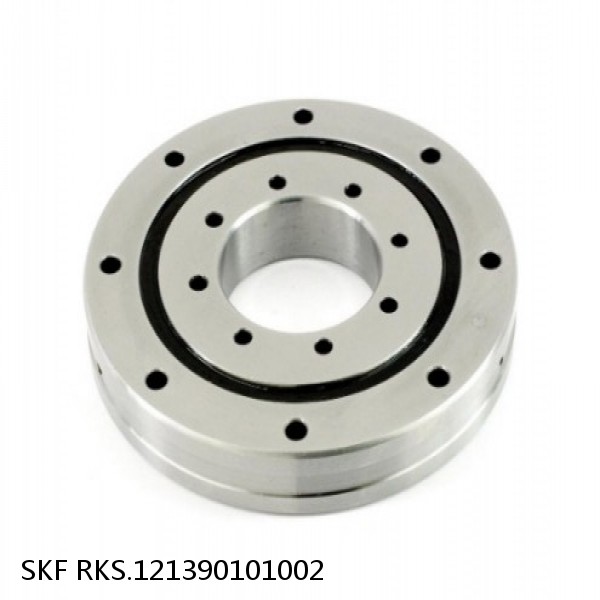 RKS.121390101002 SKF Slewing Ring Bearings