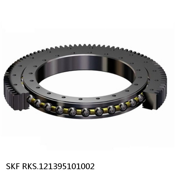 RKS.121395101002 SKF Slewing Ring Bearings