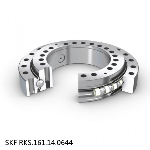 RKS.161.14.0644 SKF Slewing Ring Bearings