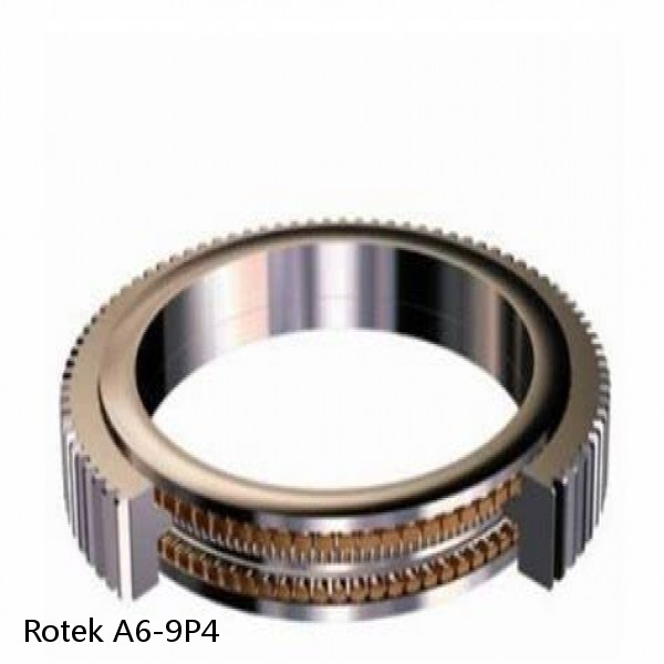 A6-9P4 Rotek Slewing Ring Bearings