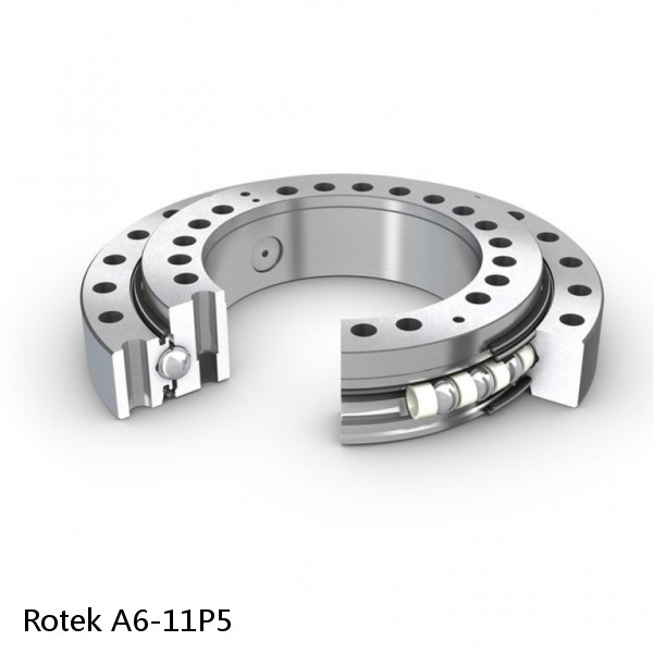 A6-11P5 Rotek Slewing Ring Bearings