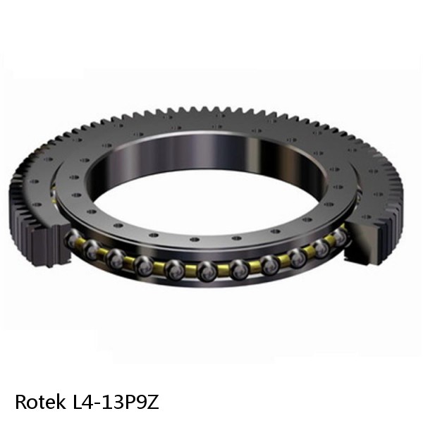 L4-13P9Z Rotek Slewing Ring Bearings