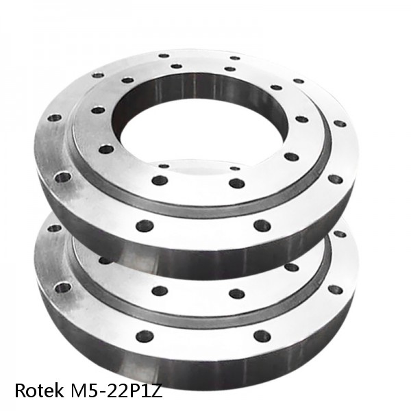 M5-22P1Z Rotek Slewing Ring Bearings