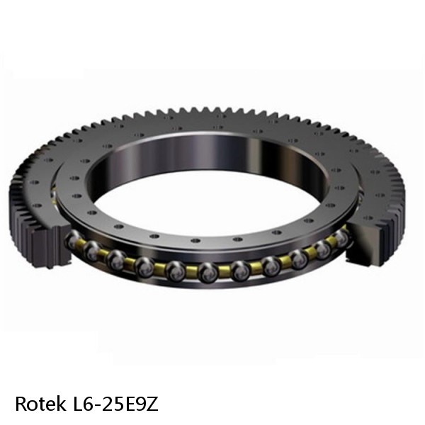 L6-25E9Z Rotek Slewing Ring Bearings