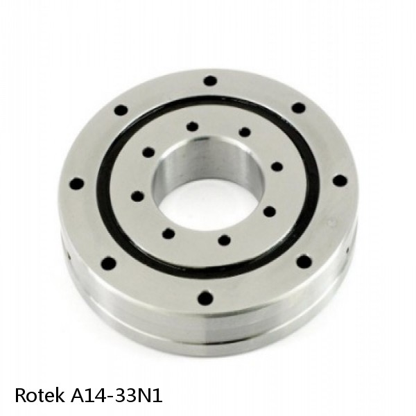 A14-33N1 Rotek Slewing Ring Bearings