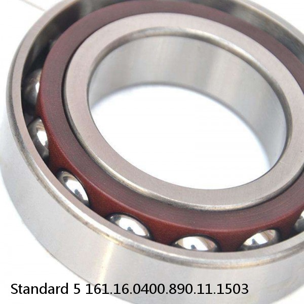 161.16.0400.890.11.1503 Standard 5 Slewing Ring Bearings