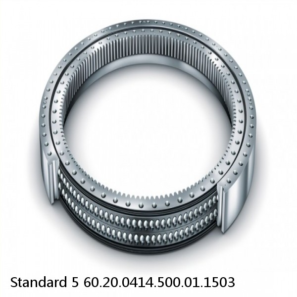 60.20.0414.500.01.1503 Standard 5 Slewing Ring Bearings