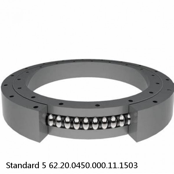 62.20.0450.000.11.1503 Standard 5 Slewing Ring Bearings