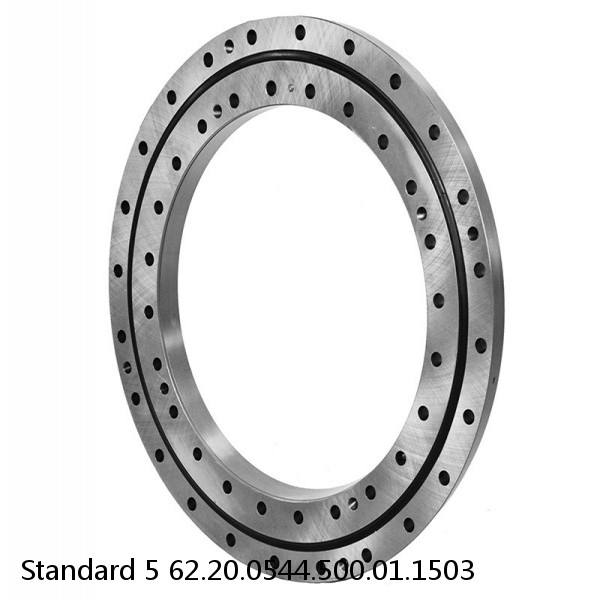 62.20.0544.500.01.1503 Standard 5 Slewing Ring Bearings