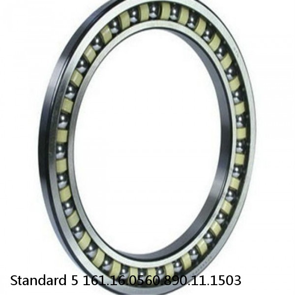 161.16.0560.890.11.1503 Standard 5 Slewing Ring Bearings