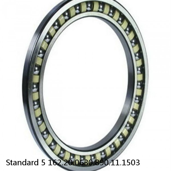 162.20.0630.890.11.1503 Standard 5 Slewing Ring Bearings