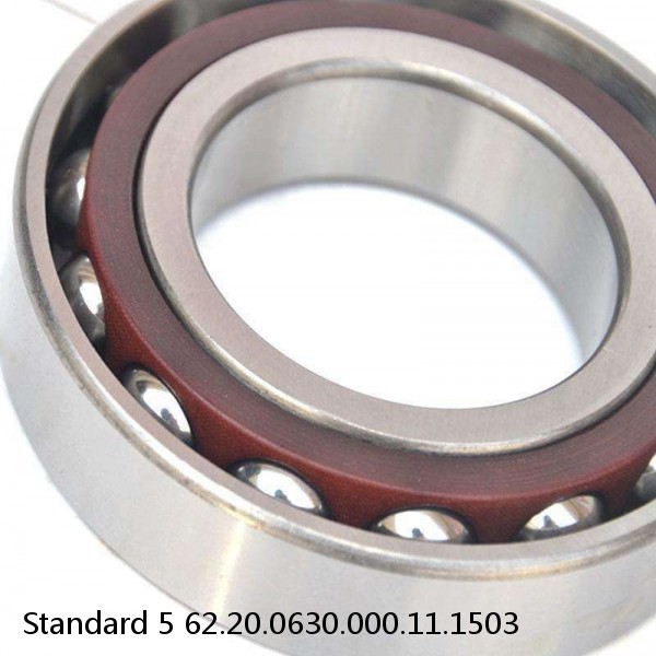 62.20.0630.000.11.1503 Standard 5 Slewing Ring Bearings