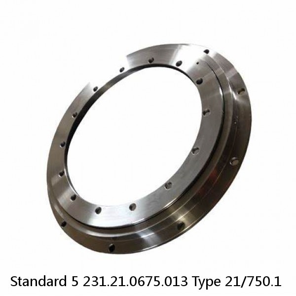 231.21.0675.013 Type 21/750.1 Standard 5 Slewing Ring Bearings