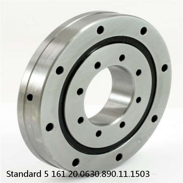 161.20.0630.890.11.1503 Standard 5 Slewing Ring Bearings