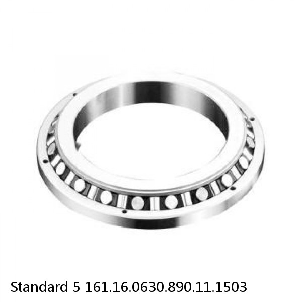 161.16.0630.890.11.1503 Standard 5 Slewing Ring Bearings