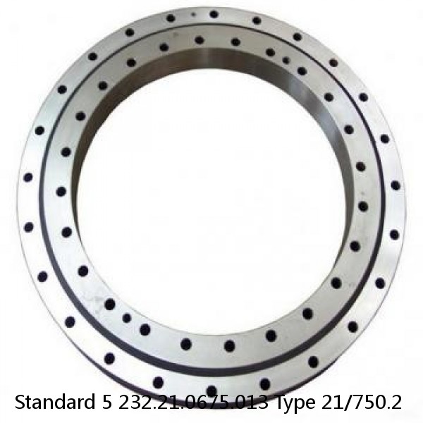 232.21.0675.013 Type 21/750.2 Standard 5 Slewing Ring Bearings