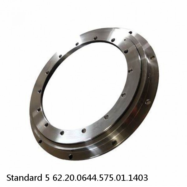 62.20.0644.575.01.1403 Standard 5 Slewing Ring Bearings