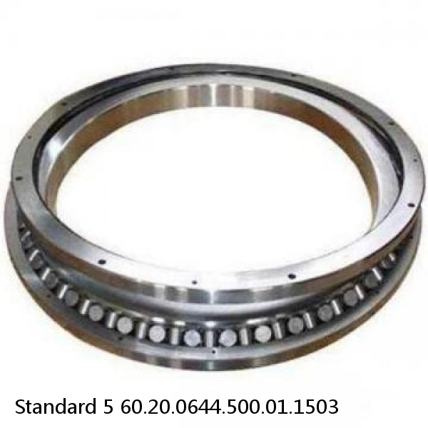 60.20.0644.500.01.1503 Standard 5 Slewing Ring Bearings