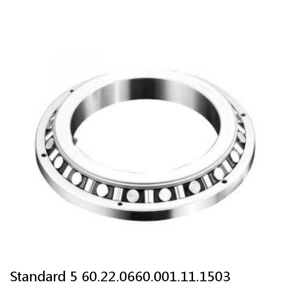 60.22.0660.001.11.1503 Standard 5 Slewing Ring Bearings