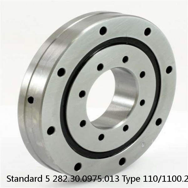 282.30.0975.013 Type 110/1100.2 Standard 5 Slewing Ring Bearings