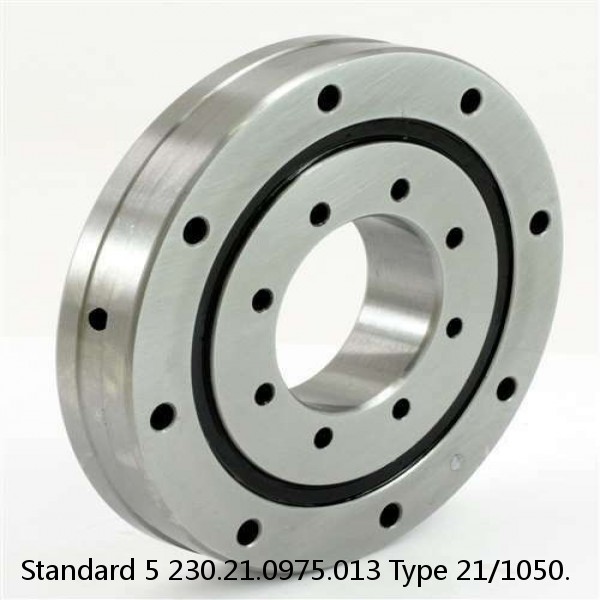 230.21.0975.013 Type 21/1050. Standard 5 Slewing Ring Bearings