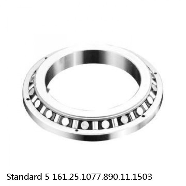 161.25.1077.890.11.1503 Standard 5 Slewing Ring Bearings