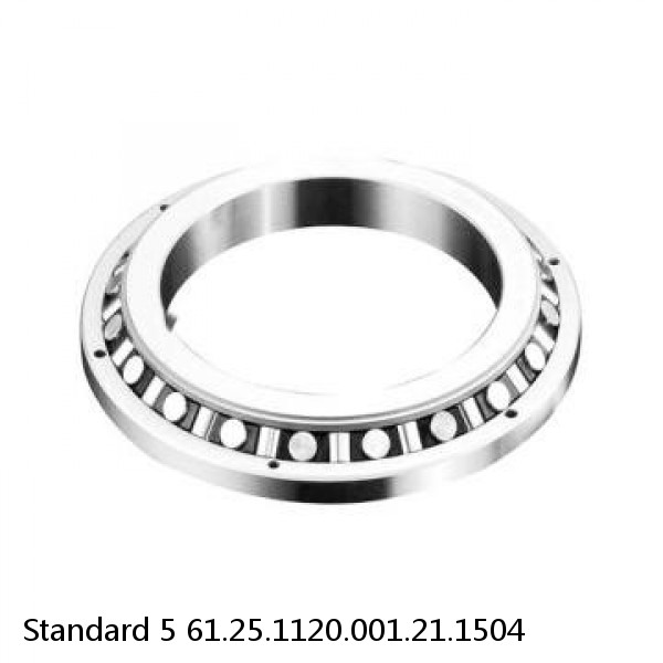 61.25.1120.001.21.1504 Standard 5 Slewing Ring Bearings