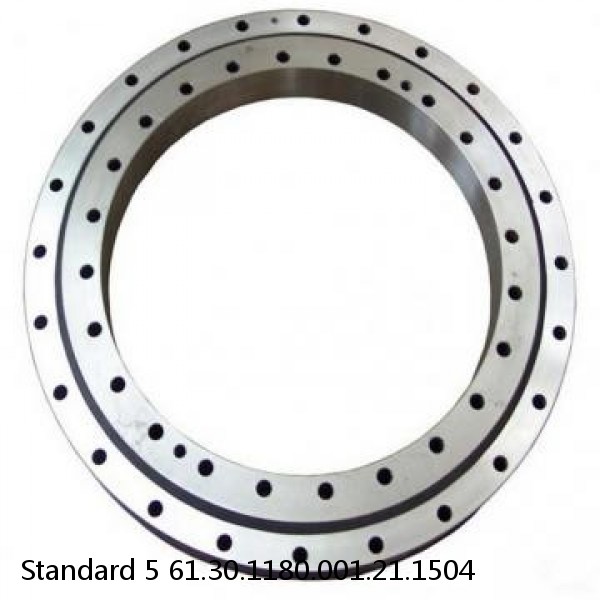 61.30.1180.001.21.1504 Standard 5 Slewing Ring Bearings