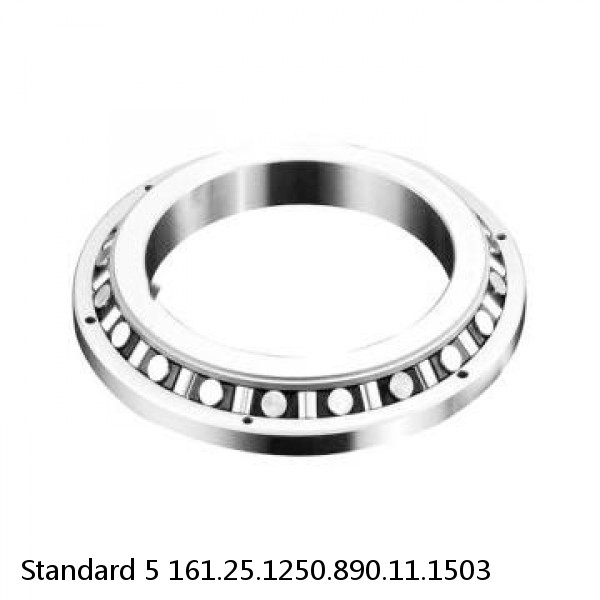 161.25.1250.890.11.1503 Standard 5 Slewing Ring Bearings