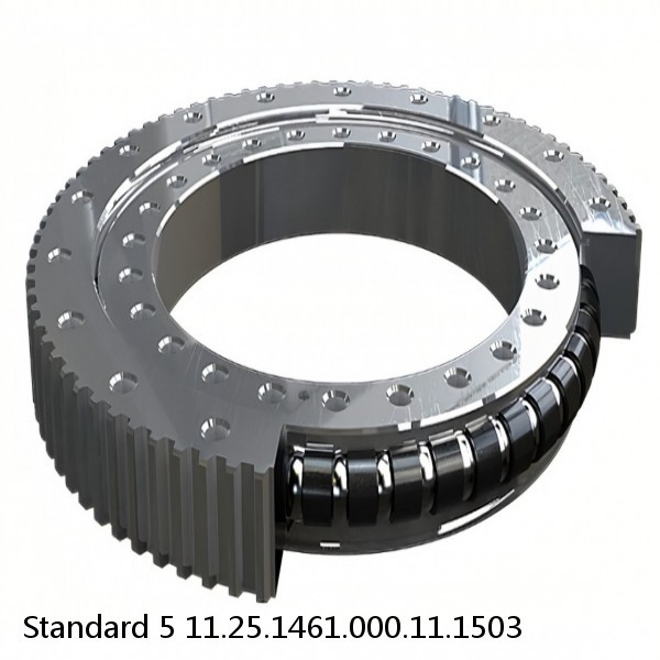 11.25.1461.000.11.1503 Standard 5 Slewing Ring Bearings