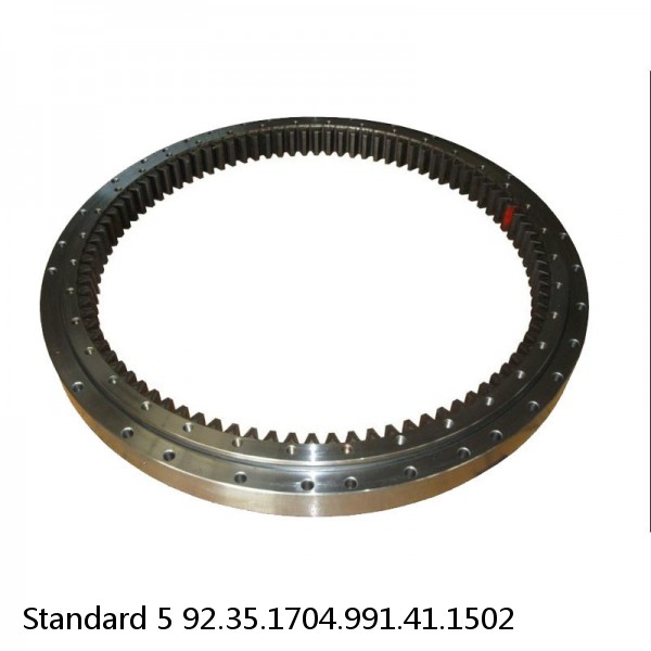 92.35.1704.991.41.1502 Standard 5 Slewing Ring Bearings