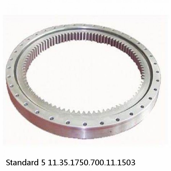 11.35.1750.700.11.1503 Standard 5 Slewing Ring Bearings