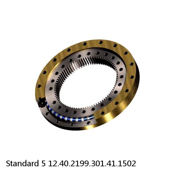 12.40.2199.301.41.1502 Standard 5 Slewing Ring Bearings